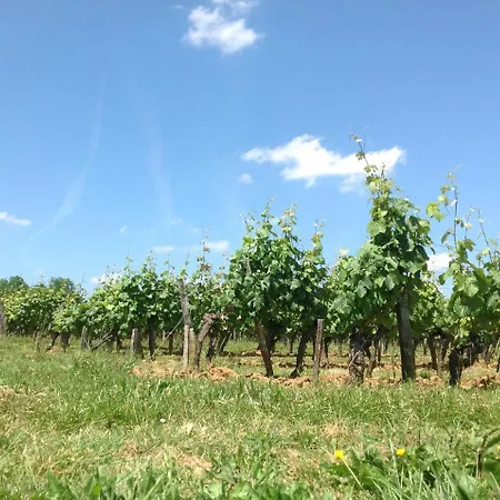 Une Vie En Quercy B&B *